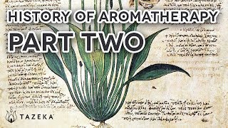 History of Aromatherapy Part 2 [upl. by Nedyah]