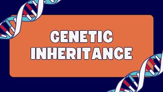 Pleiotropy Vs Epistasis Vs Polygenic inheritance [upl. by Weinreb]