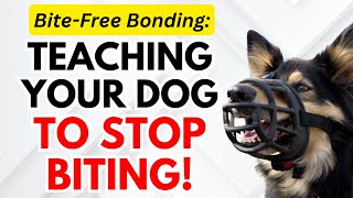 Putting a Pawsitive End to Biting Teaching Your Dog to Stop Biting [upl. by Wsan467]