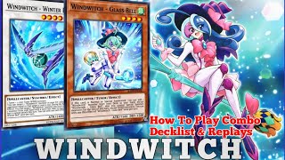 WINDWITCH NEW BOX SYNCHRO DECK How to play Combo guide and Replays IN YUGIOH DUEL LINKS [upl. by Hairabez]