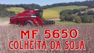 Colheita da Soja MF 5650 [upl. by Rexferd858]