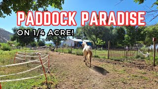 Creating a Paddock Paradise Horse Track System Transform Your Small Acreage for Happier Horses [upl. by Renruojos]