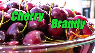 🍒How to Make CHERRY BRANDY  Kirschwasser🍒 [upl. by Yhtimit331]