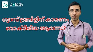 എച്ച് പൈലോറി എന്താണ് 🔬 Dont Wait for the Symptoms to Do the H pylori Tests 🩺 Malayalam [upl. by Schnabel]