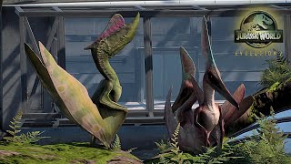 BUILDING A BARBARIDACTYLUS amp DSUNGARIPTERUS AVIARY  Jurassic World Evolution 2 Exhibit Build [upl. by Akinad]