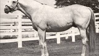 25 Greatest American Race Horses [upl. by Atisusej]