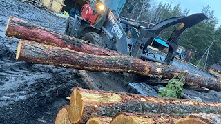 Working on a sawmill sawing roundwood and producing lumber [upl. by Artimid]