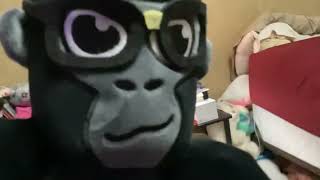 The life of a gorilla plush [upl. by Yeltsew]