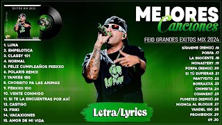 Feid 2024 LetraLyrics  Mejores Canciones de Feid  Grandes Éxitos De Feid  Mix Reggaeton 2024 [upl. by Eeleak]