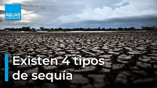 ¿Cuántos TIPOS de SEQUÍA existen 💧‼ [upl. by Fletch582]