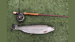 Early Summer fly fishing at Danebridge Fisheries [upl. by Aloek606]