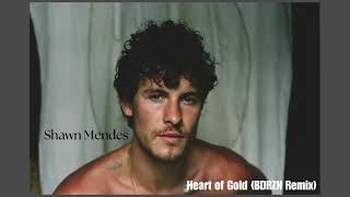 Shawn Mendes  Heart of Gold BDRZN Remix [upl. by Drawoh593]