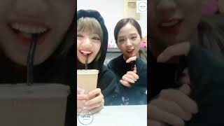 LISOO VLIVE FEAT L PET FAMILY  BLACKPINK VLIVE CONTENT  ENG SUB [upl. by Otila397]