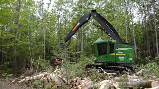 Abatteuse John Deere 1270D avec une tête d’abattage Waratah 414 à loeuvre au BasSaintLaurent [upl. by Mehala]