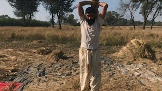 aaj Maine chawalon ki katai aur chhidakai ki village Punjab season 12 [upl. by Nolyar]