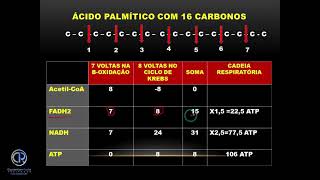 TABELA DE ATP DA BETA OXIDAÇÃO DO ÁCIDO PALMITICO [upl. by Nyrroc]