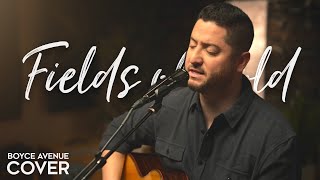 Fields of Gold  Sting Boyce Avenue acoustic cover on Spotify amp Apple [upl. by Ymaj319]