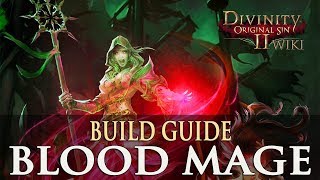 Divinity Original Sin 2 Builds  Blood Mage Necromancer [upl. by Otte]