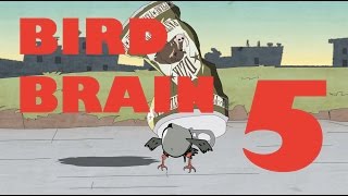 BIRD BRAIN HD  EPISODE 5 [upl. by Westley]