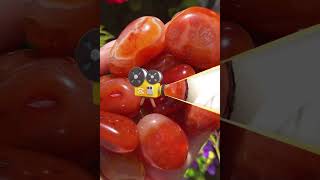 Carnelian crystal stone of finding new lifegemstone ♦️creativity foryouWonderWavesWithAchi [upl. by Trask]