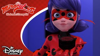 🐞 Miraculum Konia  Miraculous Biedronka i Czarny Kot  Disney Channel Polska [upl. by Adyaj502]