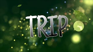 Trip gi hontiyu naavu yella  Trip  Lyrics   Dj Sachin Rapper  Trip song  Kannada trip song [upl. by Marella]