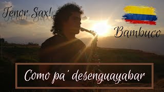 BAMBUCO  Como pa desenguayabar en Saxofón 🎷  Andrés Ayala [upl. by Philipps]