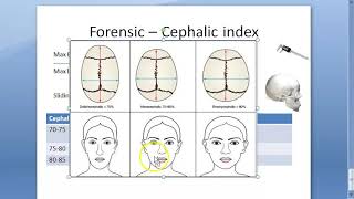 Forensic 040 a Cephalic Index Dolichocephalic MesatiCephalic Indians Brachycephalic [upl. by Suolekcin]