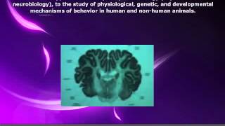 What is Behavioral Neuroscience [upl. by Ianaj191]