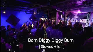 Bom Diggy Diggy  Lofi Slowed  Reverb  Jasmin Walia night party lofi song  music trending [upl. by Hickie]