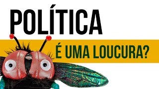 Por que a gente se odeia  Polarização Política [upl. by Ennayd]