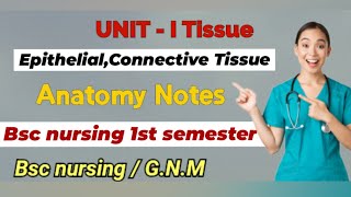 Tissues Notes part 2  Anatomy notes  bscnursing gnm nursingnotes tissue anatomy [upl. by Hengel]