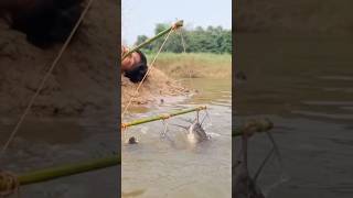 Unique Hook Fishing In River fishingtechnique hookfishtrap fishingmethod bestfishing fishing [upl. by Francisco]