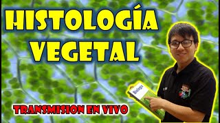 🎯EN VIVO🖍️ Histologia Vegetal [upl. by Logan889]