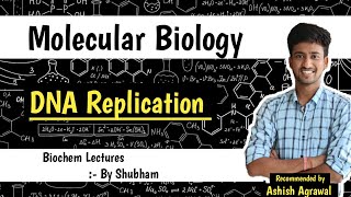 DNA Replication  Molecular Biology  Biochemistry lectures [upl. by Fornof948]