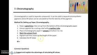 AQA A LEVEL BIOLOGY REQUIRED PRACTICAL 7 CHROMATOGRAPHY [upl. by Eimor93]