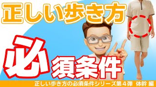 【正しい歩き方 改善 骨盤 腹筋 体重移動】正しい歩き方の必須条件シリーズ第４弾「絶対に必要な体幹の能力」 [upl. by Giltzow]