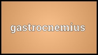 Gastrocnemius Meaning [upl. by Roman149]