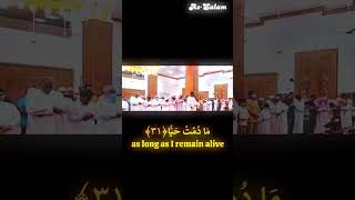 Surah Maryam Verses 3035 by Sheikh Muhammad Hady Toure quran [upl. by Asilet]