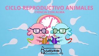 CICLO REPRODUCTIVO EN ANIMALES [upl. by Drofnas]