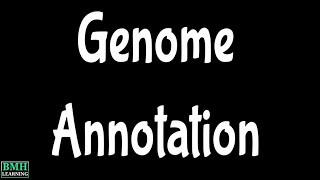 Genome Annotation [upl. by Halsy]