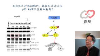 肝癌怎麼辦推薦您佩你安Cyproheptadine [upl. by Natloz135]