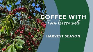 Coffee with Tom Greenwell Episode 20 [upl. by Arlyn]