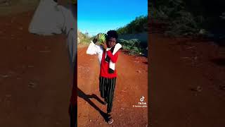 Mallasay boys funny momentduet ethiopiandrama comedy funny habesha [upl. by Aneehsit]