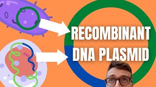 Recombinant DNA Technology Explained For Beginners [upl. by Yldarb]