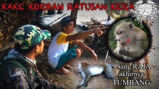 RATUSAN KERA SERANG KEBUN WARGA‼️ Kami Datang Membantu [upl. by Sanford169]