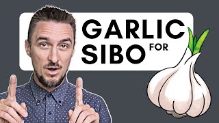 SIBO and Garlic Can This Herb Help Heal Your Gut [upl. by Esinyl767]