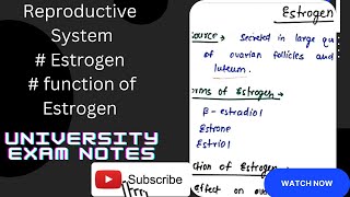 Estrogen Hormone  Estrogen hormone physiology Estrogen functions [upl. by Tann]