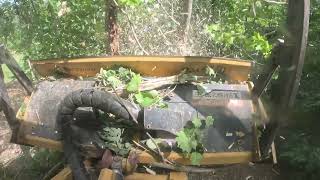 Forestry Mulcher Land Clearing Food Plots and Pasture Irvine Kentucky 07 08 2024 [upl. by Ilagam688]