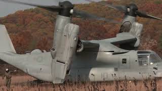 US Marines practice takeoff and landing with a V22 Osprey aircraft [upl. by Eivlys]